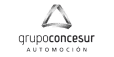 Grupo Concesur Logo