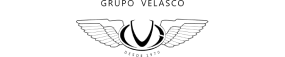 Grupo Velasco Logo Carousel